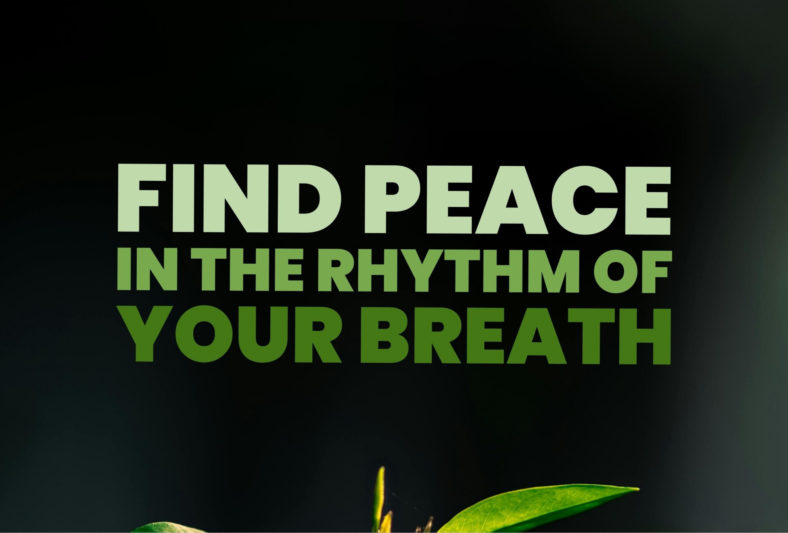 BOFA Breath Of Fresh Air- Breathing Circle – 16 Sep 2026